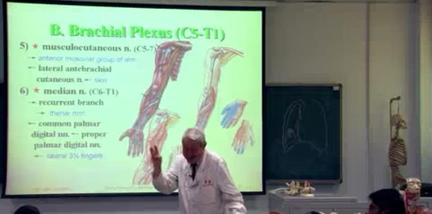 三大系统的解剖视频教程